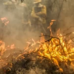 Polícia Federal investiga focos de incêndio no Pantanal