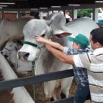 Expocrato - Todos juntos na maior festa da Região do Cariri