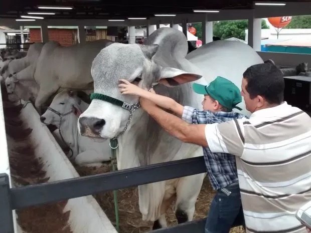 Expocrato - Todos juntos na maior festa da Região do Cariri