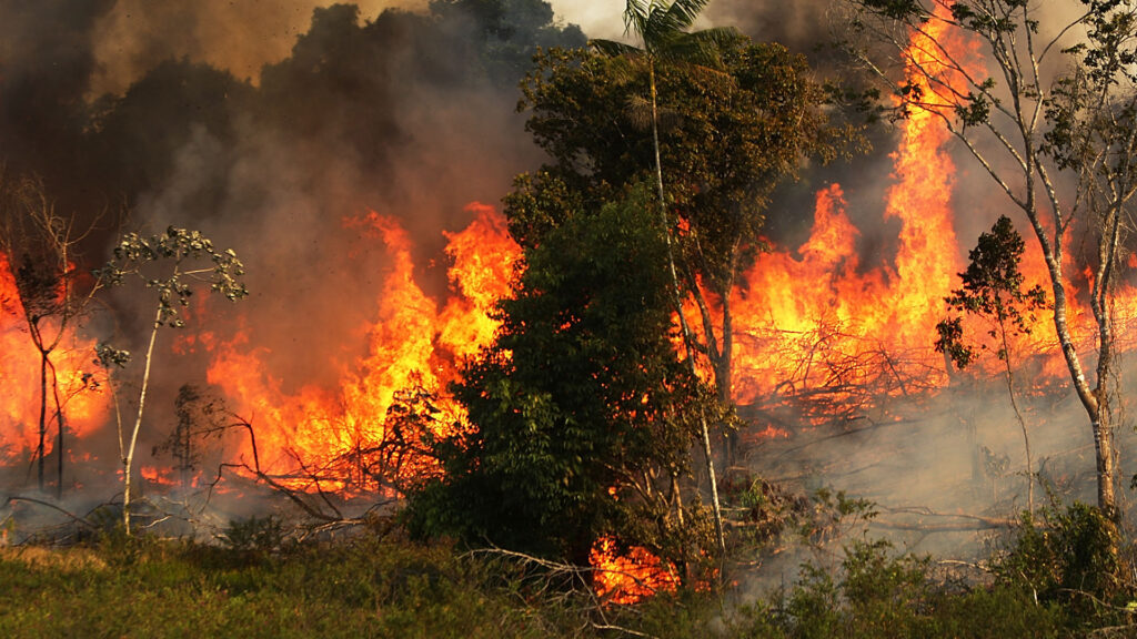 PANORAMA POLÍTICO – INCÊNDIOS, MAS NEM TANTO?