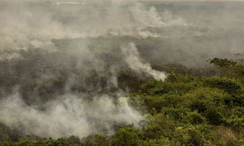 Rondônia declara situação de emergência por conta dos incêndios florestais