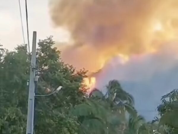 Prefeitura do Crato combate incêndio na Flona do Araripe