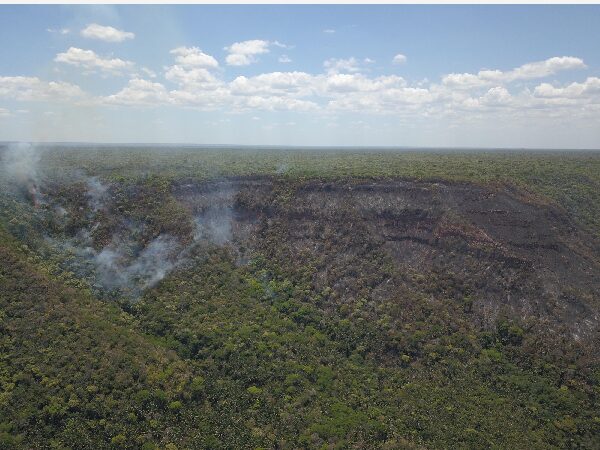 Prefeitura do Crato, ICMBio e Corpo de Bombeiros Unem Forças no Combate ao Incêndio na Flona Araripe