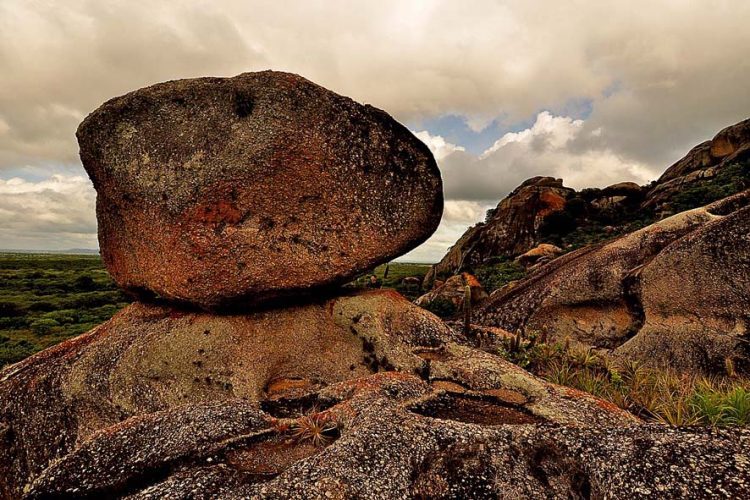 Exposição Chapada do Araripe na Câmara dos Deputados