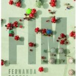 Romance "Fim" de Fernanda Torres