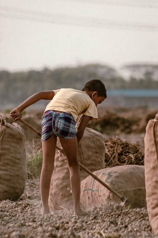 Trabalho Infantil no Ceará tem queda de 6,4%, revela estudo