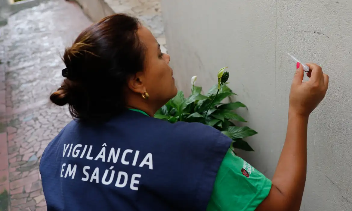 Dengue em 2024: 6,4 milhões de casos e 59 mil mortes