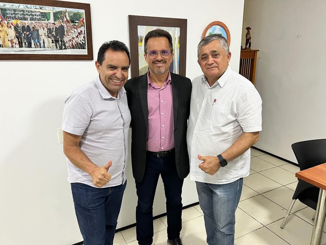 PEDRO ANDRE GUIMARAES