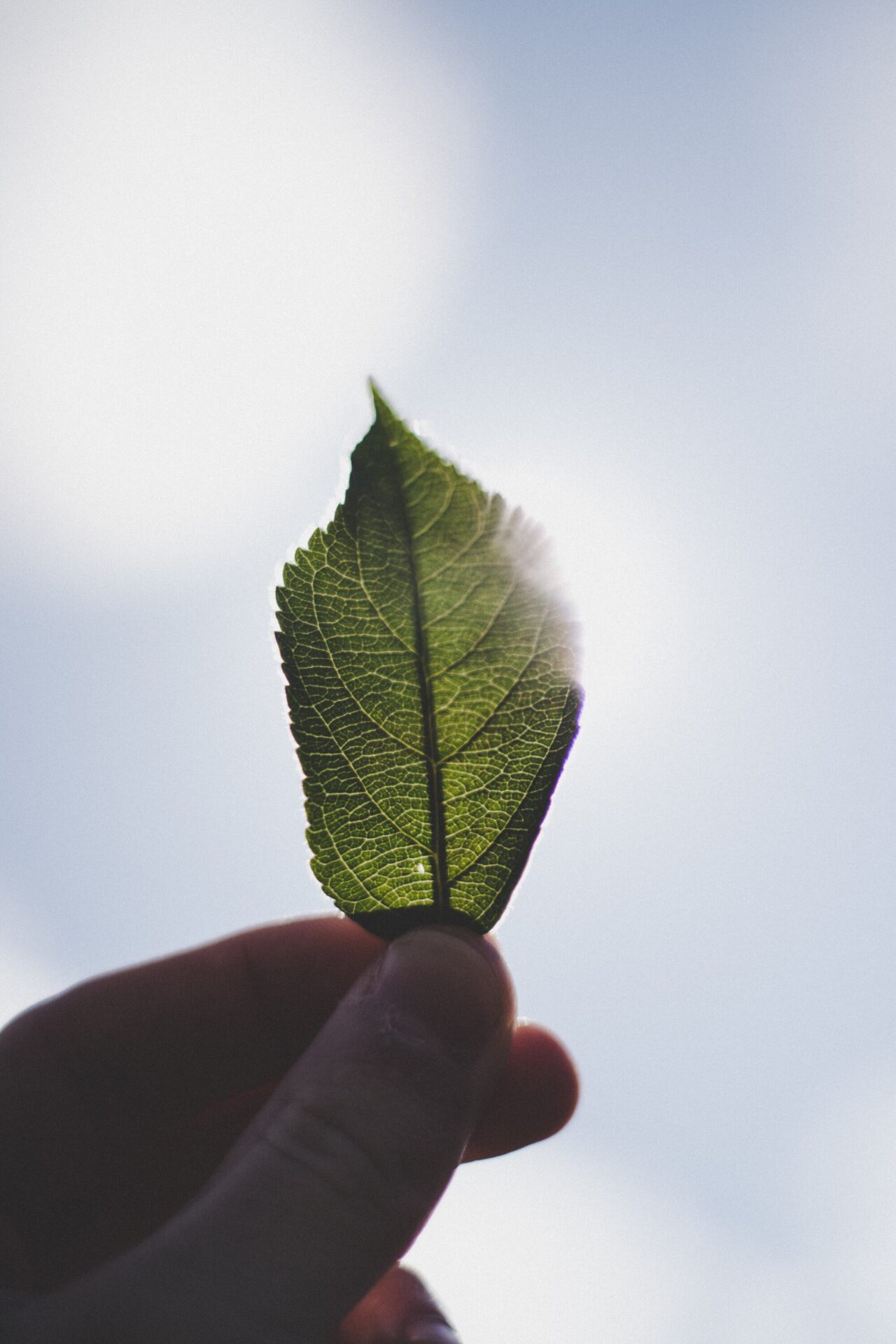 sustentabilidade