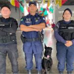 Crato reforça segurança com rondas policiais e cães de proteção