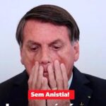 BOLSONARO – A FACE PERVERSA DO CAPITÃO 