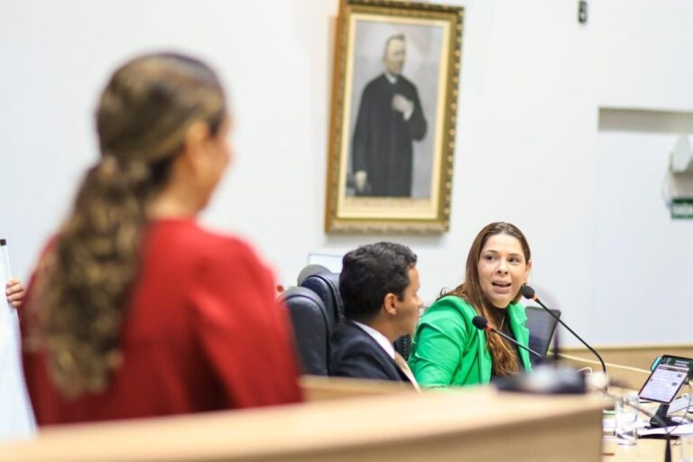 Comunidade surda cobra inclusão em sessão da Câmara