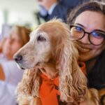 SinPatinhas já tem 620 mil pets com RG no Brasil