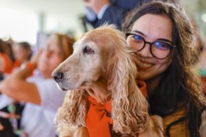 SinPatinhas já tem 620 mil pets com RG no Brasil