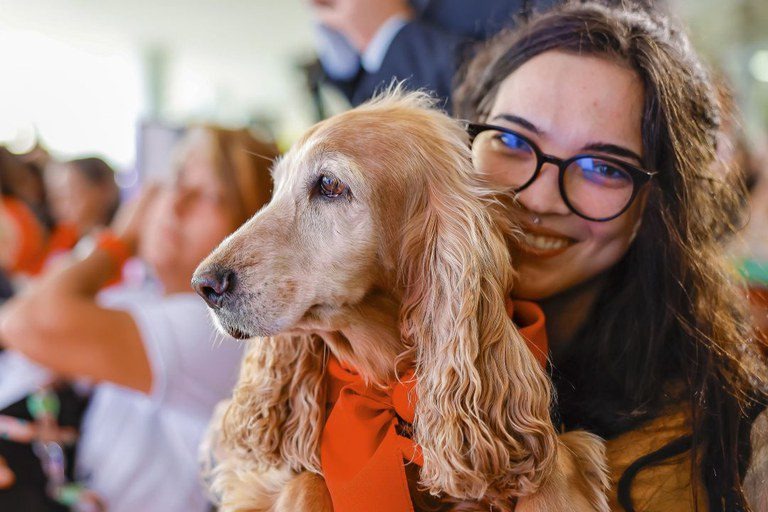 SinPatinhas já tem 620 mil pets com RG no Brasil 1 SinPatinhas já tem 620 mil pets com RG no Brasil