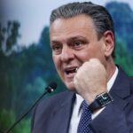 Brasil descarta 3 focos de gripe aviária e monitora outros 4