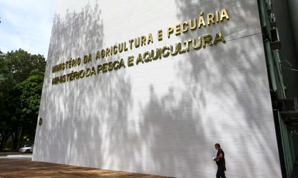 Brasil investiga surtos respiratórios em aves 1 Brasil investiga surtos respiratórios em aves