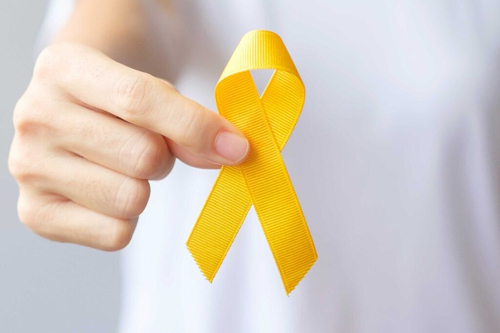 Maio Amarelo - momento para refletir sobre nossa postura no trânsito 1 Escola Vila da Música em Crato tem programação diversificada em maio