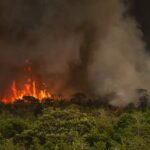 Câmara aprova aumento de pena para incêndios florestais