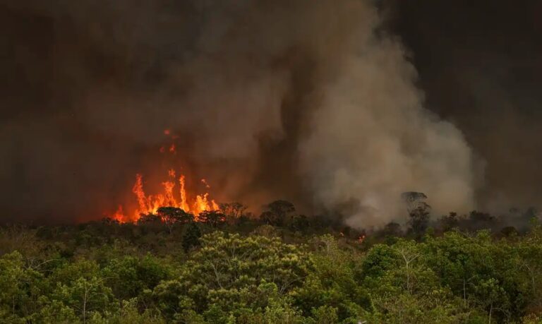 Câmara aprova aumento de pena para incêndios florestais