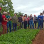 curso de licenciatura