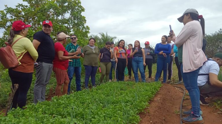 curso de licenciatura
