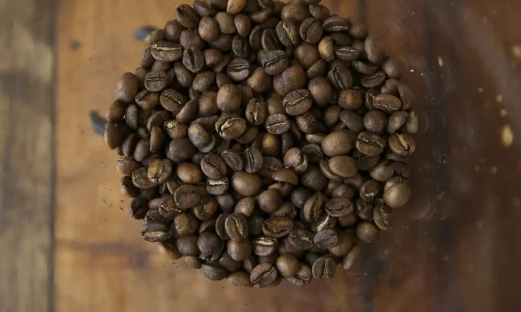 Tarifaço de Trump ameaça exportações brasileiras de suco, café, carne e frutas, alerta Cepea