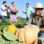 Lula anuncia R$ 89 bi para Plano Safra da agricultura familiar