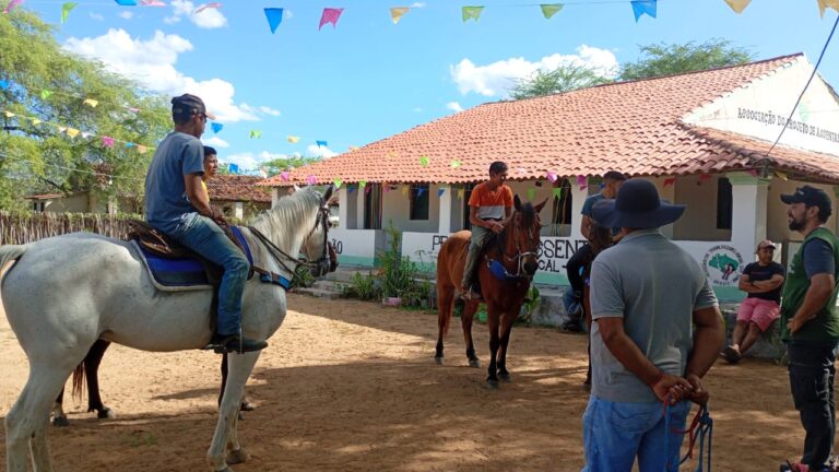 materia doma cavalos