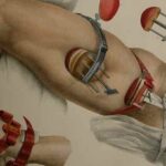 Riscos da Reforma Administrativa: ameaça de retrocessos e cortes no serviço público