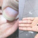 Médico, enfermeira, advogado e autônomo são presos por tentar fraudar concurso da Polícia Civil no Ceará