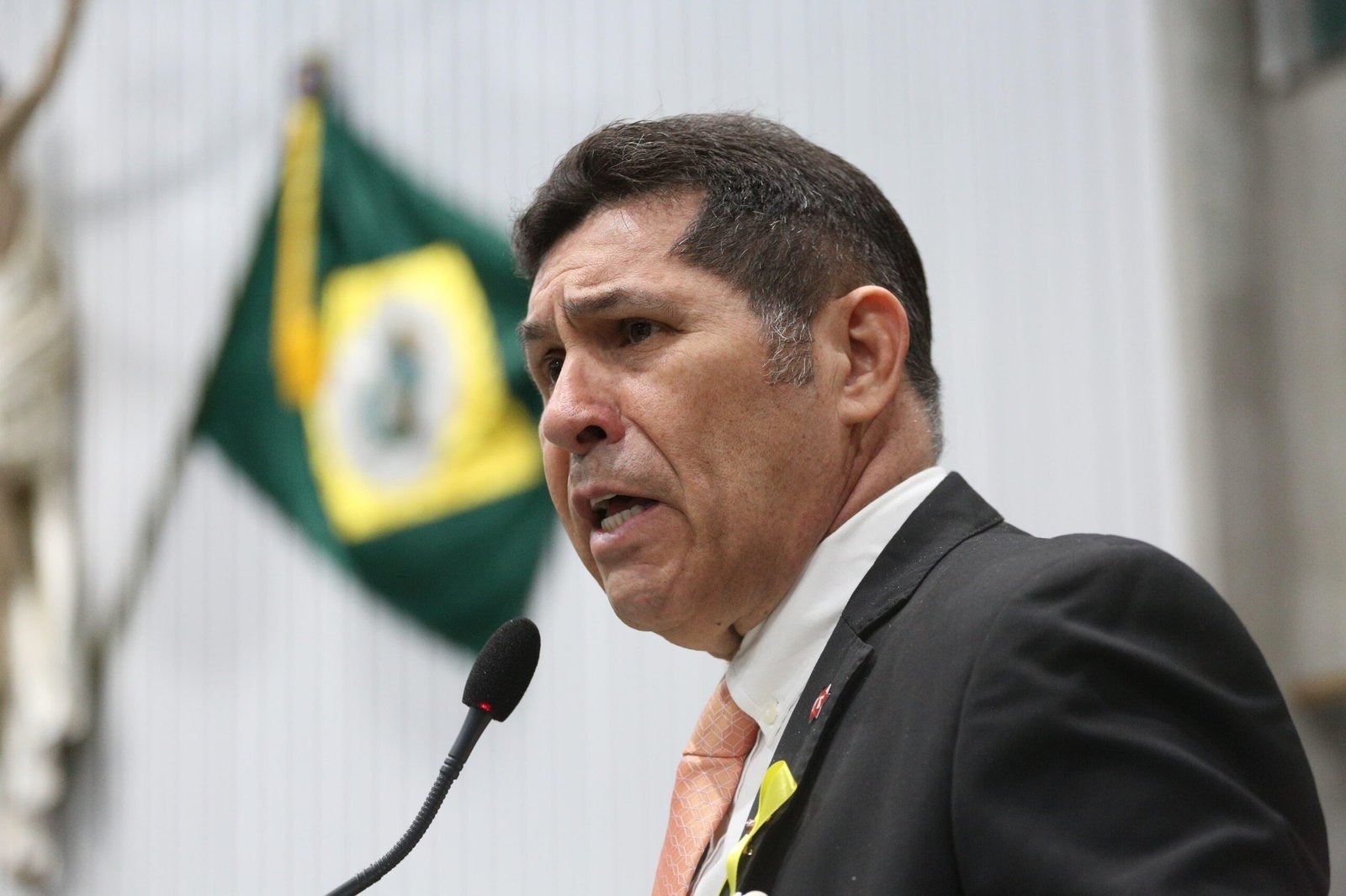 de assis diniz