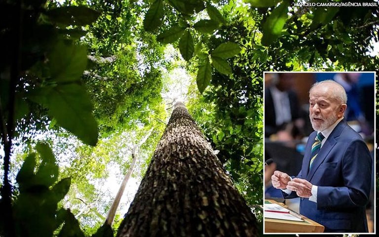 Lula anuncia aporte de US$ 1 bilhão no Fundo de Florestas Tropicais para Sempre e defende liderança pelo exemplo