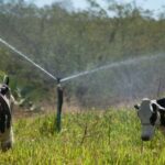 PIB do Ceará cresce 3,86% no 2º trimestre de 2025, puxado pela agropecuária, e supera índices nacional, paulista e baiano