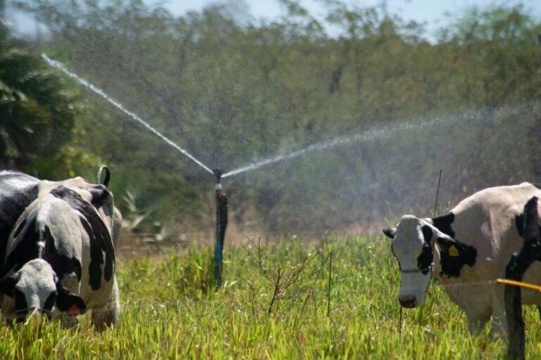 PIB do Ceará cresce 3,86% no 2º trimestre de 2025, puxado pela agropecuária, e supera índices nacional, paulista e baiano