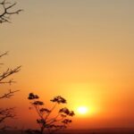 Cariri inicia semana com calor intenso e máxima de 37 °C, alerta Funceme