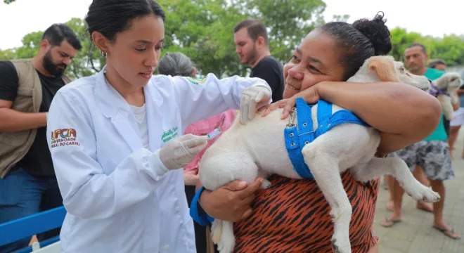 Juazeiro do Norte realiza Dia D de Vacinação Antirrábica neste sábado (11) com 27 pontos em toda a cidade