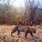 M2E65L205-205R382B323