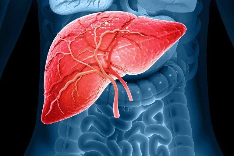 Gordura no fígado aumenta risco cardiovascular e exige mudança de hábitos, explica hepatologista