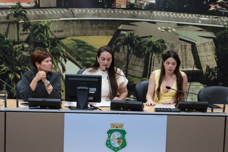 Alece realiza audiência pública sobre Plano de Prevenção e Erradicação do Trabalho Infantil nesta segunda (10)