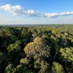 COP30 em Belém: entenda o que é, quando acontece e os temas que serão debatidos sobre o futuro do clima