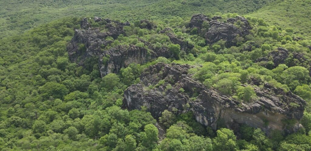 Governo do Ceará cria cinco novas unidades de conservação e amplia proteção da Caatinga em 80 mil hectares