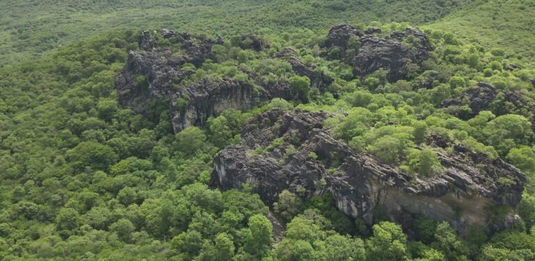 Governo do Ceará cria cinco novas unidades de conservação e amplia proteção da Caatinga em 80 mil hectares 7 Governo do Ceará cria cinco novas unidades de conservação e amplia proteção da Caatinga em 80 mil hectares
