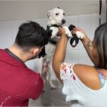 Crato divulga cronograma completo do VetMóvel para dezembro com atendimentos veterinários gratuitos nas comunidades