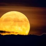 Confira quais Luas Cheias de 2026 serão superluas e entenda os critérios científicos