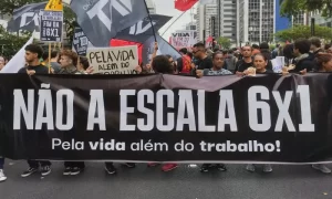 escala 6 por um
