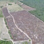 CAPA - Crédito da foto - Divulgação-PF