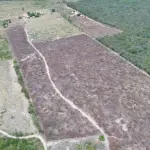 CAPA - Crédito da foto - Divulgação-PF