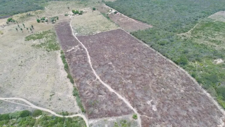 CAPA - Crédito da foto - Divulgação-PF