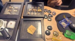 Operação de combate ao contrabando de fósseis no Cariri apreende mais de 50 peças